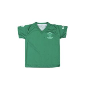 CAMISETA CASAS VERDE GCB