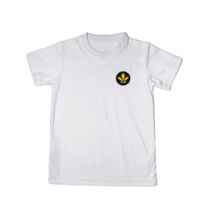 CAMISETA CUELLO R ANDINO