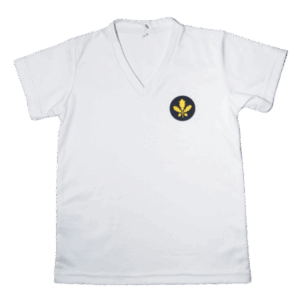 CAMISETA CUELLO V NINO ANDINO